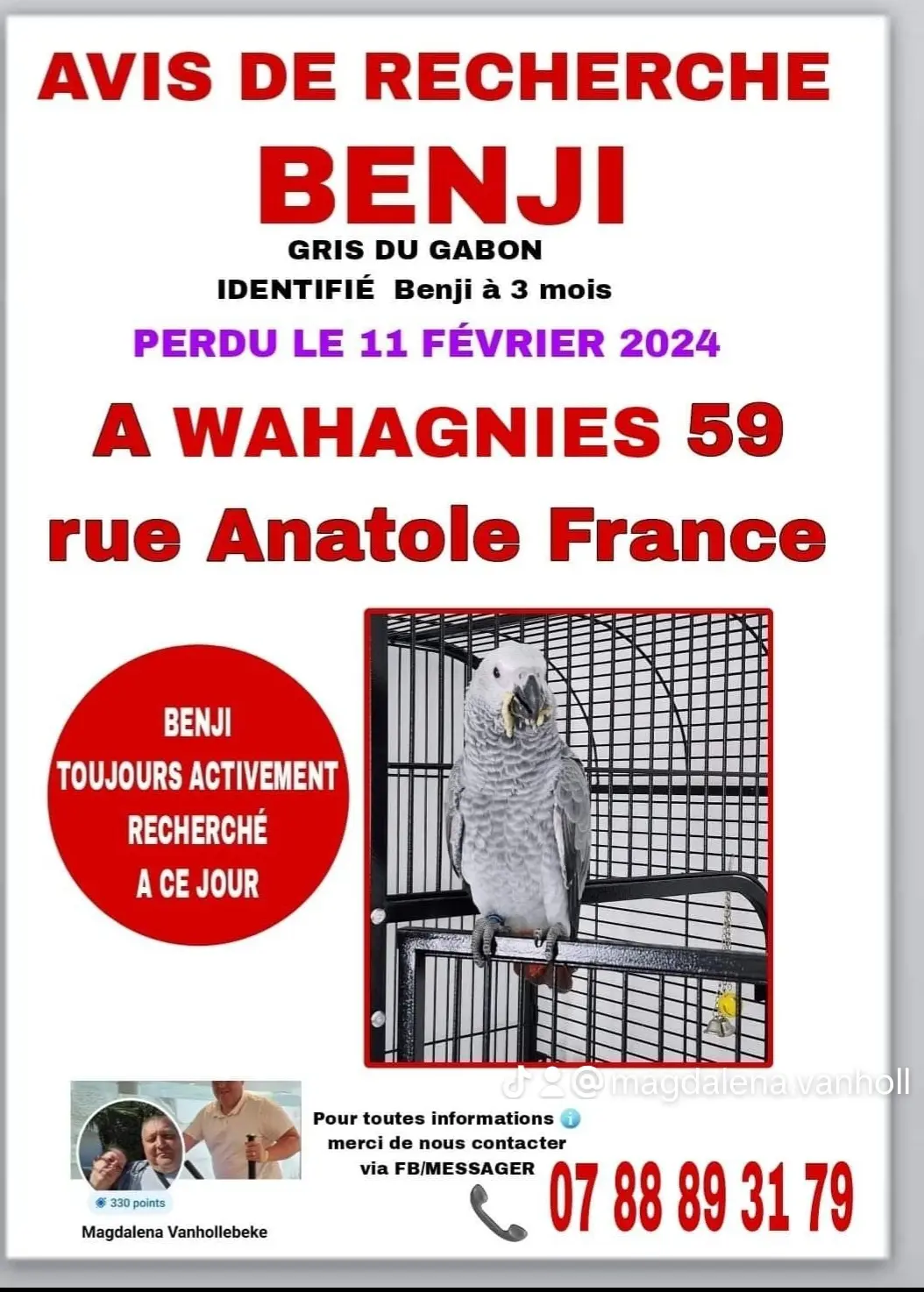  lost  Rue Anatole France 59261 Wahagnies Benji