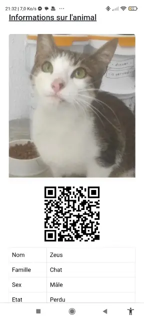 cat lost   42650 Saint-Jean-Bonnefonds Zeus