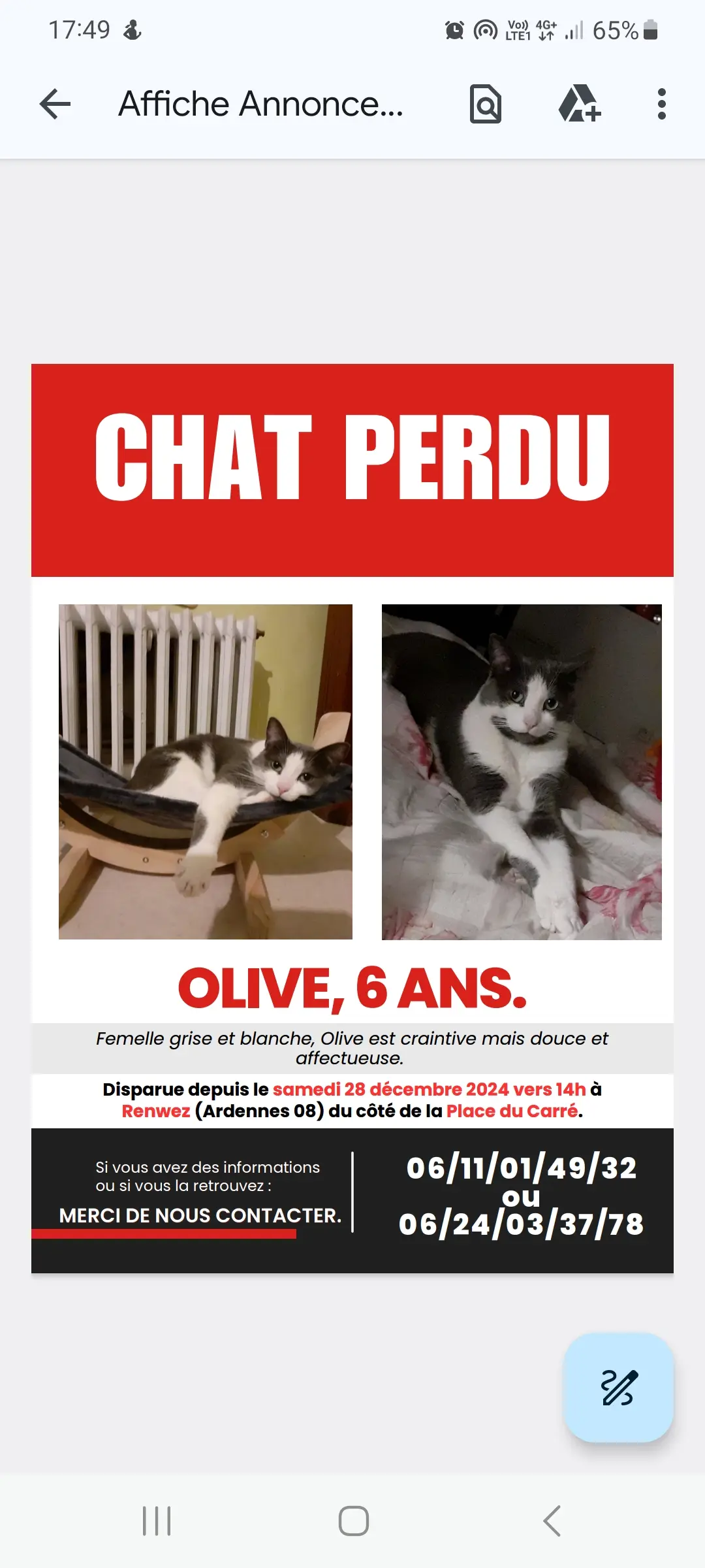 Chatte Perdue 08 Ardennes - Olive