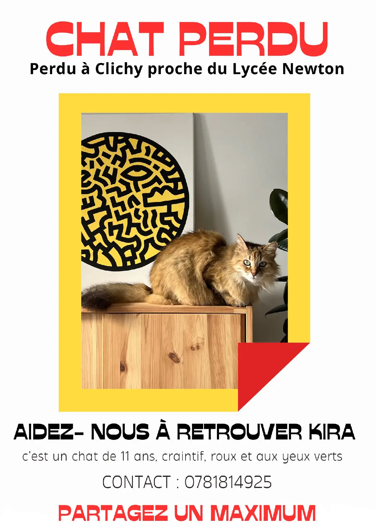 Chatte Perdue 92 Hauts-de-Seine - Kira