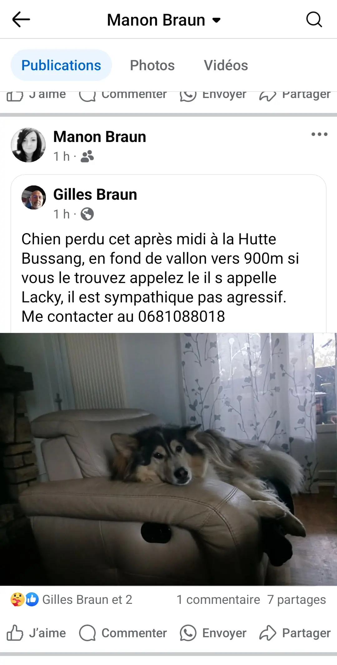 Chien Perdu 88 Vosges