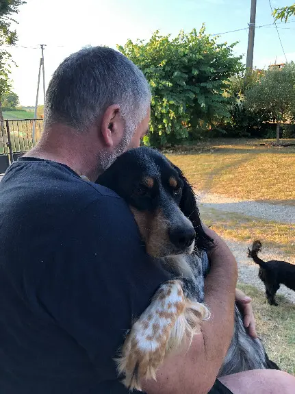 Chienne Trouvée 24 Dordogne Saint-Privat-en-Périgord